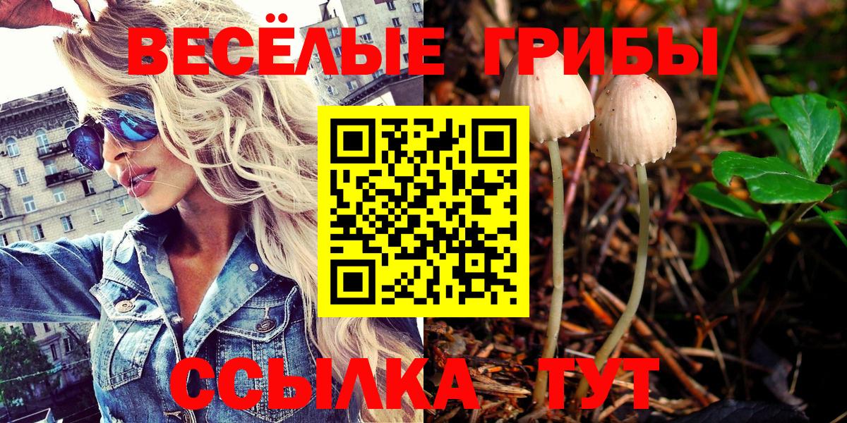 Псилоцибиновые грибы Psilocybine cubensis  Вход с VPN  Королёв 
