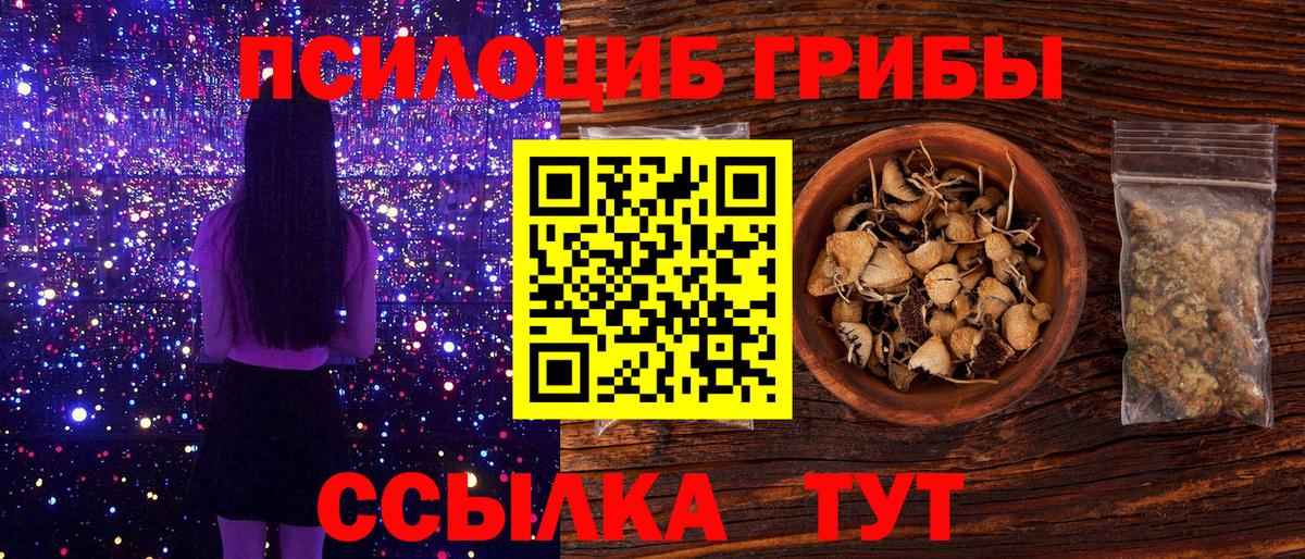 Псилоцибиновые грибы Psilocybe Королёв